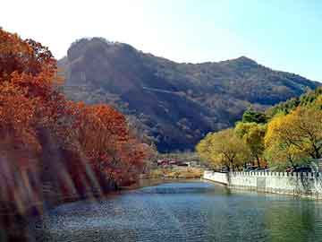 新澳天天开奖资料大全旅游团，地盾宝